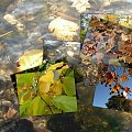 troche jesieni #collage #jesień #woda #kamyki