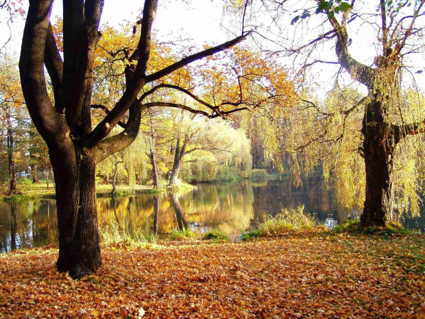 Park Zdrojowy jest zawsze piękny.