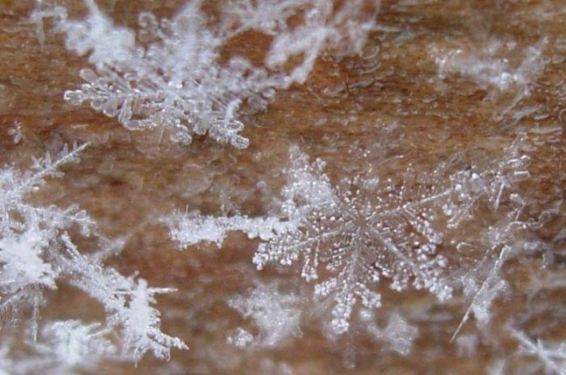 Płatki śniegu #ŚniegSnowflakes