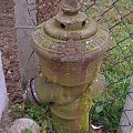 Hydrant w Wolini.