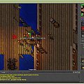 38lvl #tibia