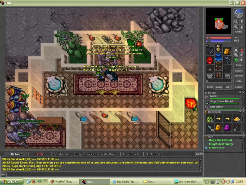 tibia djinn quest #tibia