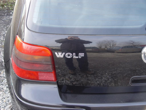 Wolf :)