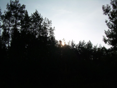 ale słońce mnie wyprzedziło... :) #chmury #drzewa #krajobraz #krajobrazy #las #lasy #natura #niebo #przyroda #słońce #widok #widoki #zachód #ZachódSłońca
