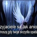 szkoda że ja niemam takich przyjaciół