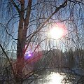 Zimowe słońce 3 #Norwegia #natura #słonce #zima #śnieg #woda #rzeka #drzewa