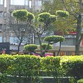 Taipei