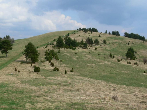 Szczawnica i okolice - maj 2006