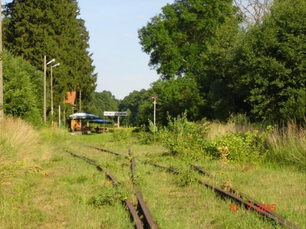 Białowieża - mała miejscowość na pograniczu z Białorusią, gdzie są ostatnie żubry Europy. Szkoda tylko, że na żubrów nie zdążyliśmy ... #Białowieża #Podlaskie #Polska