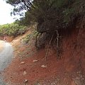 La Gomera - czerwona gleba #Teneryfa