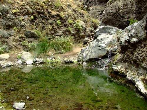 Masca - wąwóz - małe jeziorko pośród skał #Teneryfa