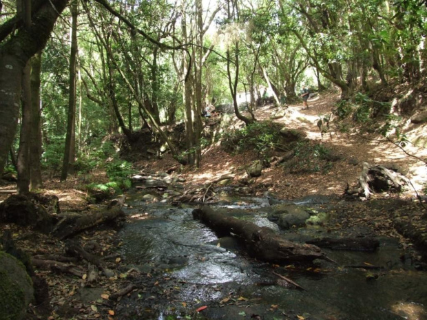 La Gomera - troche cienia , chłodna woda, świeże powietrze i cisza... #Teneryfa