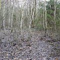 Cmentarz pod Orzyszem #Cmentarz #Orzysz #Remes #Mazury #Pisz