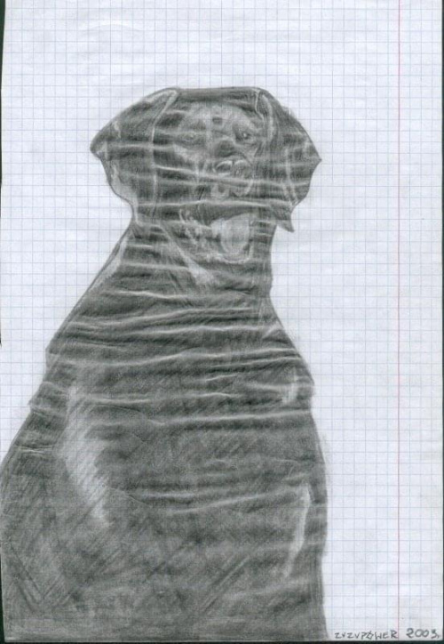 Labrador - rysowany złym ołówkiem na złym papierze :/
