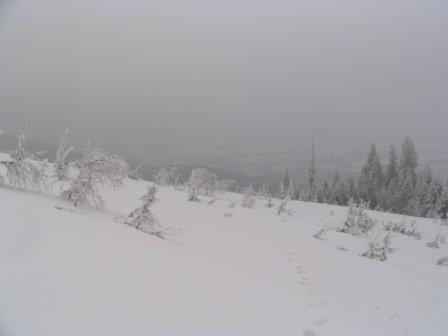 Beskidy 03-2006