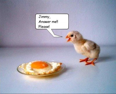 smutne :-( #kurczak #JajkoSadzone