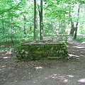 WOLFSCHANZE