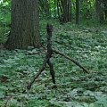 WOLFSCHANZE