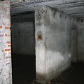 WOLFSCHANZE