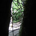 WOLFSCHANZE