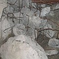 WOLFSCHANZE