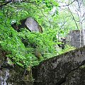 WOLFSCHANZE