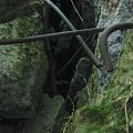 WOLFSCHANZE