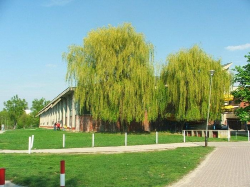 Puławy - hala sportowa MOSiR