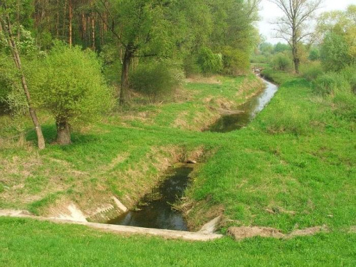 Na szlaku z Puław do Janowca