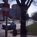 STREET ARTY SCD