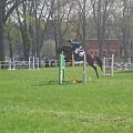 Tomasz Pałkowski-Malwa