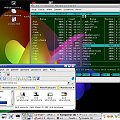 Nie ma to jak Midnight Commander. Tutaj w terminalu z przezroczystym tłem...
