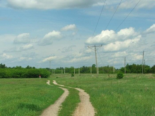 Niebieski szlak rowerowy do rezerwatu Piskory #Puławy #Piskory #SzlakRowerowy