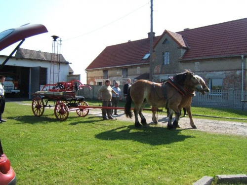 Przygotowywanie naszej sikawki do pokazu w Komendzie Powiatowej Państwowej Straży Pożarnej w Brzegu z okazji Dnia Strażaka.
Na zdjęciu : Zaprzęganie koni