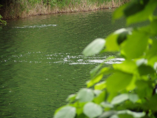 #nurkowie #nurkowanie #bąbelki #JezioroSzmara #jezioro #DawnaKopalnia #KopalniaKredy #zalane #szmaragd