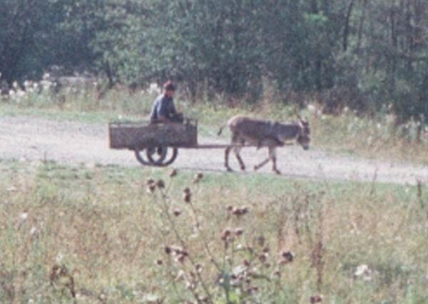 Rok 1994 Bieszczady