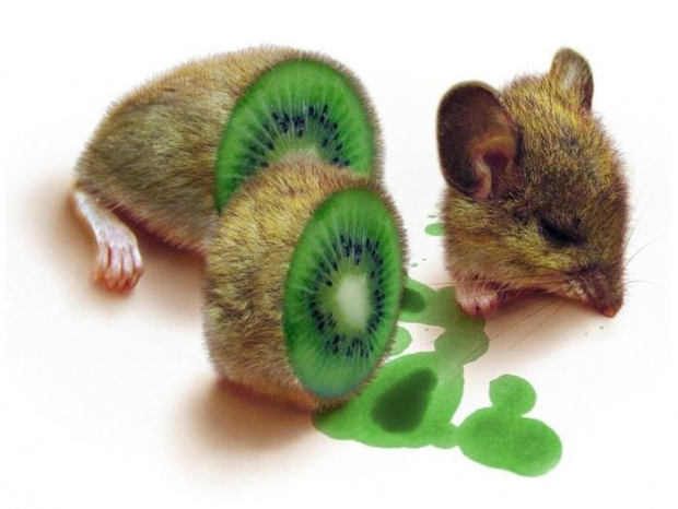 Kiwi inaczej