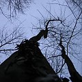 10.04.2005 - NIEDZIELA AT PUSZCZOR