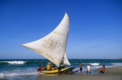 #brazylia #AmerykaPołudniowa