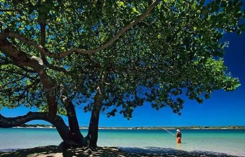 #brazylia #AmerykaPołudniowa