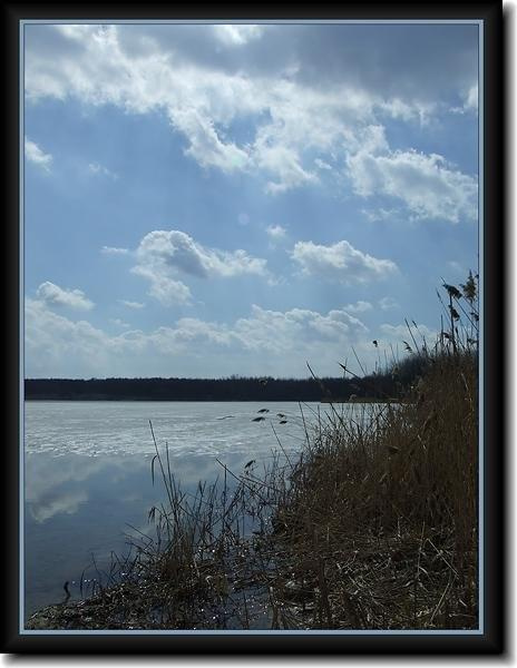 #widok #krajobraz #TarnowskieGóry #MiasteczkoŚląskie #zalew #woda #nakło #chechło #drzewa #niebo #chmury #chmurki #MirosławJupowicz