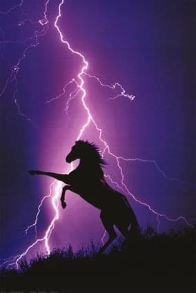 #koń #burza #błyskawica