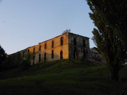 Klasztor custersów Wierzbna