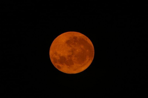 Wschód Księżyca 11.06.06. Autor - Piotr Bednarek #księżyc #wschód #moon #teleskop #PiotrBednarek