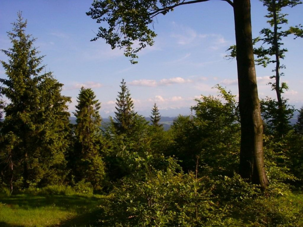 Rabka-Luboń Wielki-Luboń Mały Skomielna Biała(Rower)