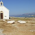Eri Beach w Hersonissos