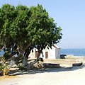 Eri Beach w Hersonissos,