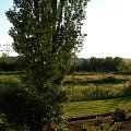 Widok z patio... znowu:)