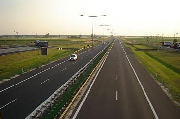 Przyroda #kwiatki #boćki #autostrada