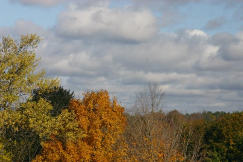 #chmury #drzewa #jesien #przyroda #niebo
